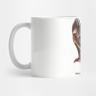 Wedgetail Eagle_02C Mug